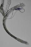 ET tube secretions airway resistance